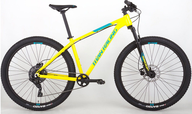 Titan Racing Rogue Ryde 29 (2024)