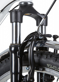 Stinger Victoria 26" (2020) - фото