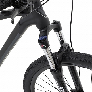 Велосипед Welt Rockfall 2.0 29 (2024) - фото