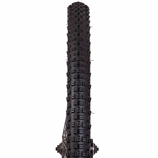 Покрышка WTB Trail Boss 29" x 2.25" - фото