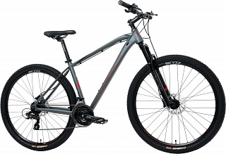 Велосипед Welt Raven 1.0 HD 29 (2023) - фото