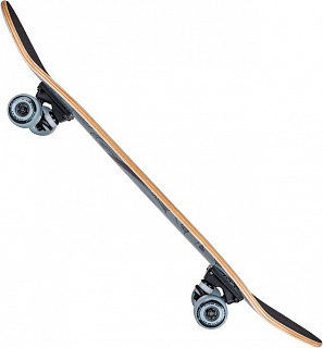 Скейтборд Tech Team Bad Boy - фото