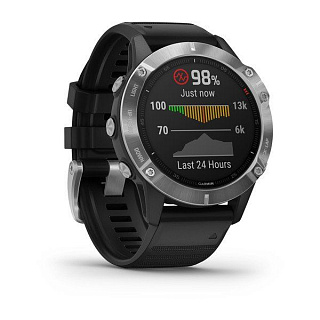 Часы GARMIN Fenix 6 (Silver/Black Band) - фото